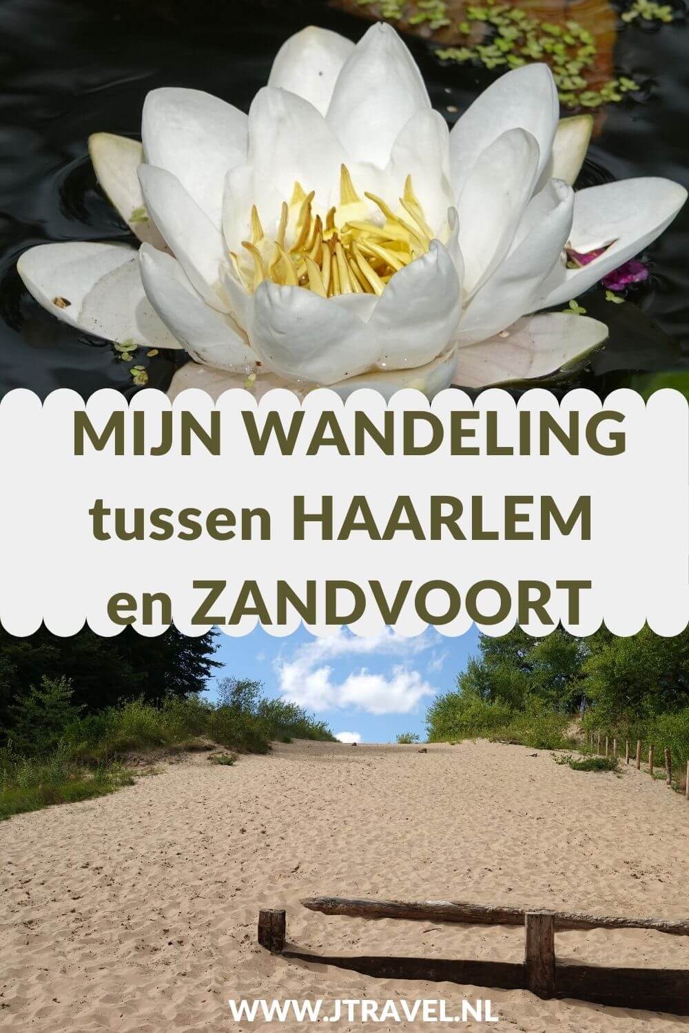 Ik maakte een wandeling tussen Haarlem en Zandvoort. De wandeling gaat door het centrum van Haarlem via Nationaal Park Zuid-Kennemerland en het Visscherspad naar Zandvoort. Alles over deze wandeling tussen Haarlem en Zandvoort lees je in dit artikel. #wandelen #haarlem #zandvoort #visscherspad #jtravelblog #jtravel