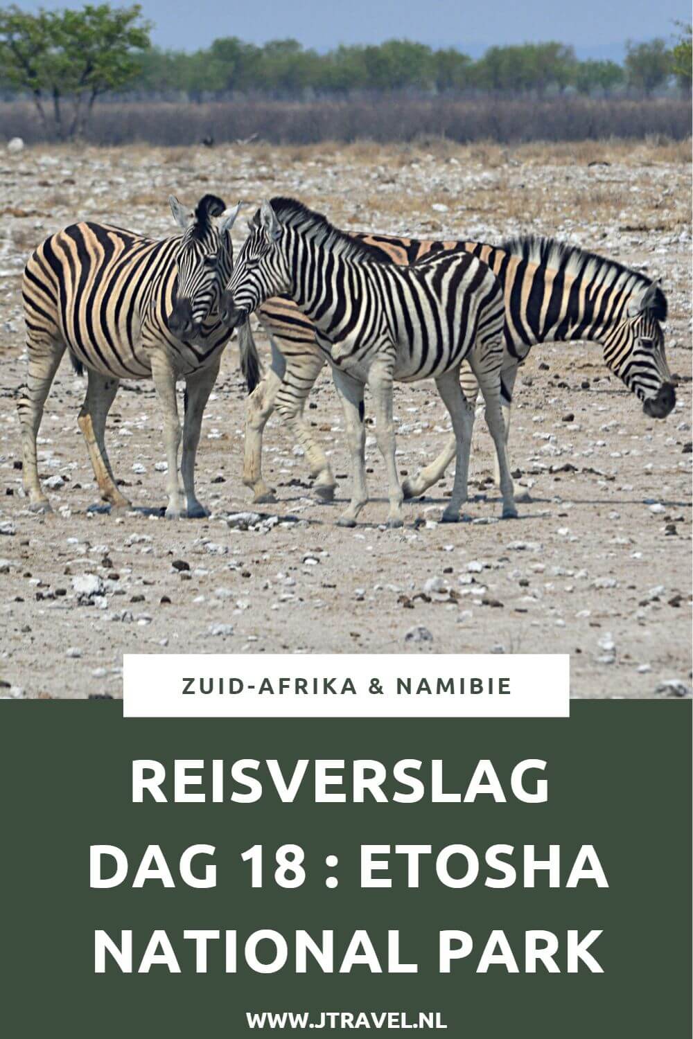 Dag 18 van mijn rondreis door Zuid-Afrika en Namibië breng ik door in het bekende nationale park in Namibië: Etosha National Park. Alles over de achttiende dag van mijn reis door Zuid-Afrika & Namibië lees je hier. Lees je mee? #namibie #etosha #etoshanationalpark #gamedrive #wildlife #reisverslag #jtravel #jtravelblog