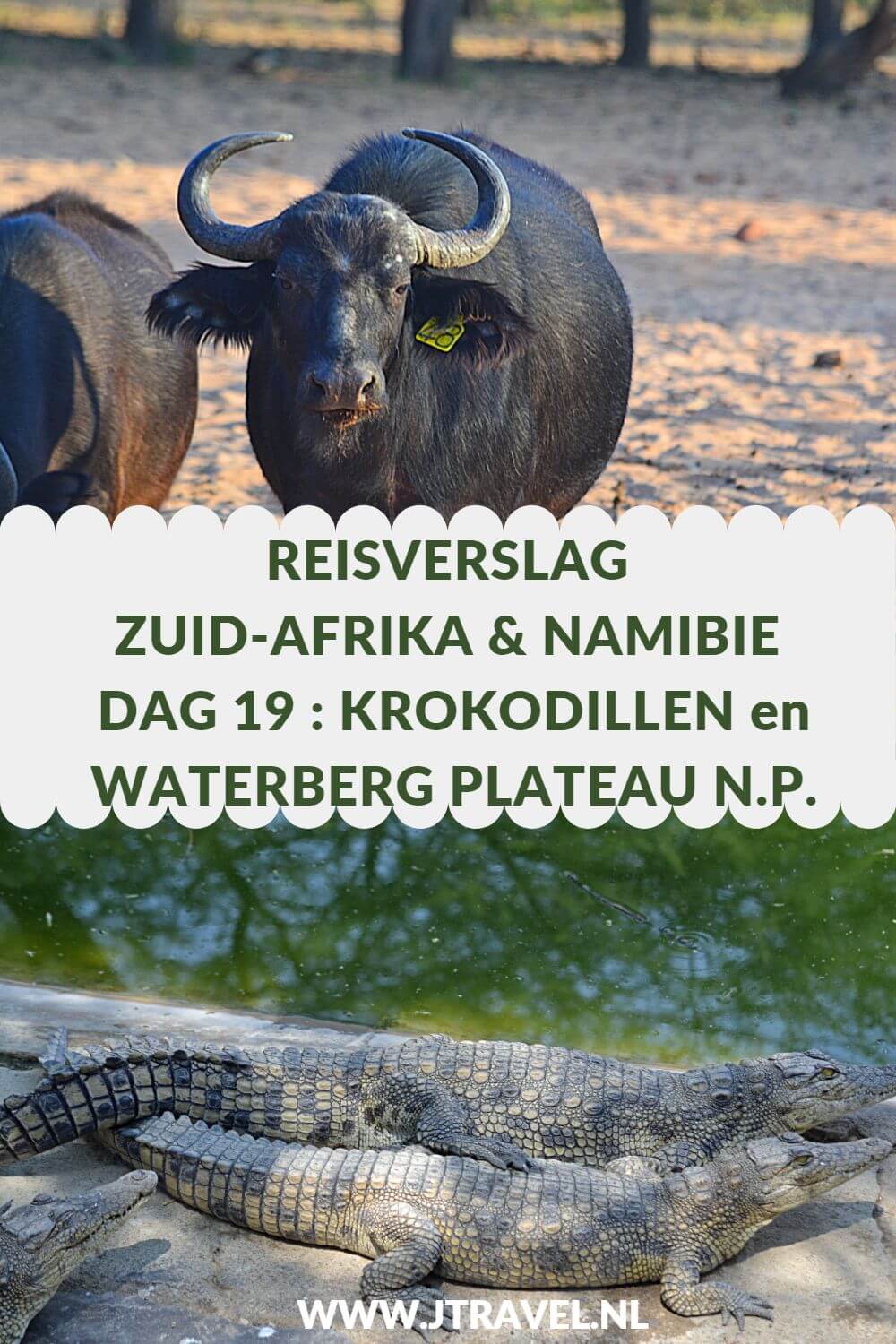 Op dag 19 van mijn rondreis door Zuid-Afrika en Namibië reizen we door naar het Waterberg Plateau National Park voor een gamedrive. Alles over de negentiende dag van mijn reis door Zuid-Afrika & Namibië lees je hier. Lees je mee? #namibie #waterbergplateau #nationalpark #gamedrive #wildlife #reisverslag #jtravel #jtravelblog Op dag 19 van mijn rondreis door Zuid-Afrika en Namibië reizen we door naar het Waterberg Plateau National Park voor een gamedrive. Alles over de negentiende dag van mijn reis door Zuid-Afrika & Namibië lees je hier. Lees je mee? #namibie #waterbergplateau #nationalpark #gamedrive #wildlife #reisverslag #jtravel #jtravelblog