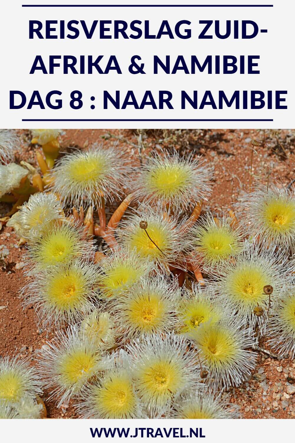 Op dag 8 van mijn 22-daagse groepsrondreis door Zuid-Afrika en Namibië steken we de grens met Namibië over en overnachten in de buurt van Fish River Canyon. Alles over de achtste dag van mijn reis door Zuid-Afrika & Namibië lees je hier. Lees je mee? #zuidafrika #namibie #reisverslag #jtravel #jtravelblog