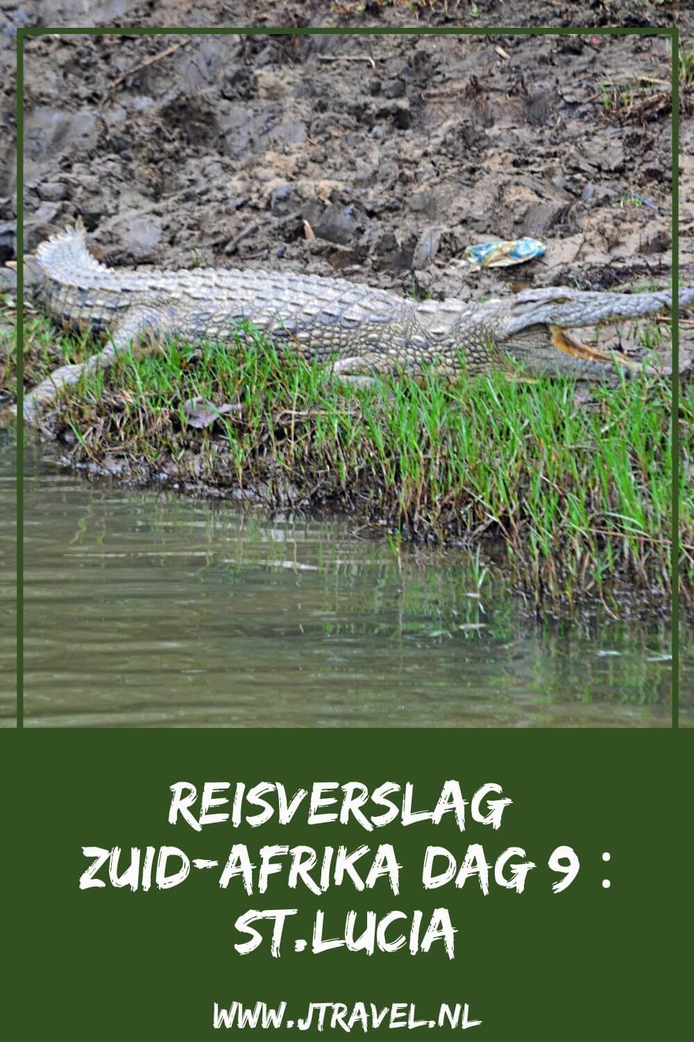 Op dag 9 van mijn 23-daagse groepsrondreis door Zuid-Afrika maak ik een boottocht in iSimangaliso Wetland Park met veel nijlpaarden en verblijf ik in St. Lucia. Alles over de negende dag van mijn reis door Zuid-Afrika lees je hier. Lees je mee? #zuidafrika #boottocht #isimagalisowetlandpark #stlucia #reisverslag #jtravel #jtravelblog Op dag 9 van mijn23-daagse groepsrondreis door Zuid-Afrika maak ik een boottocht in iSimangaliso Wetland Park met veel nijlpaarden en verblijf ik in St. Lucia. Alles over de negende dag van mijn reis door Zuid-Afrika lees je hier. Lees je mee? #zuidafrika #boottocht #isimagalisowetlandpark #stlucia #reisverslag #jtravel #jtravelblog