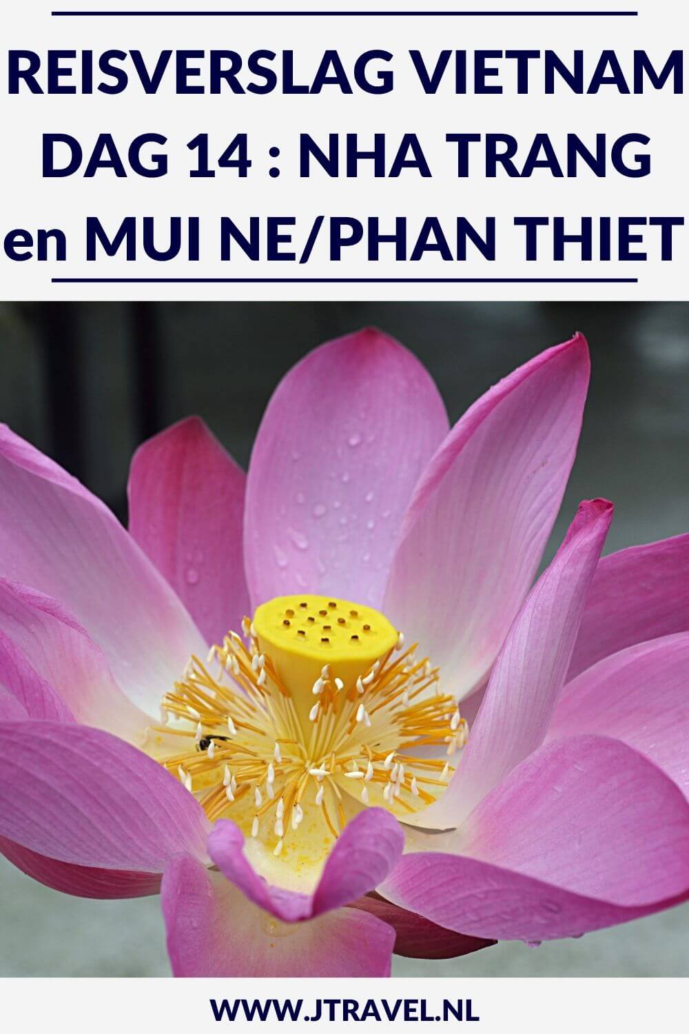Op dag 14 van mijn 21-daagse groepsrondreis door Vietnam bezocht ik de Long Son Pagode en de Po Nagar Torens in Nha Trang en reisde ik door via Mui Ne naar Phan Thiet. Alles over de veertiende dag van mijn reis door Vietnam lees je hier. Lees je mee? #vietnam #nhatrang #longsonpagode #ponagartorens #muine #phanthiet #reisverslag #jtravel #jtravelblog