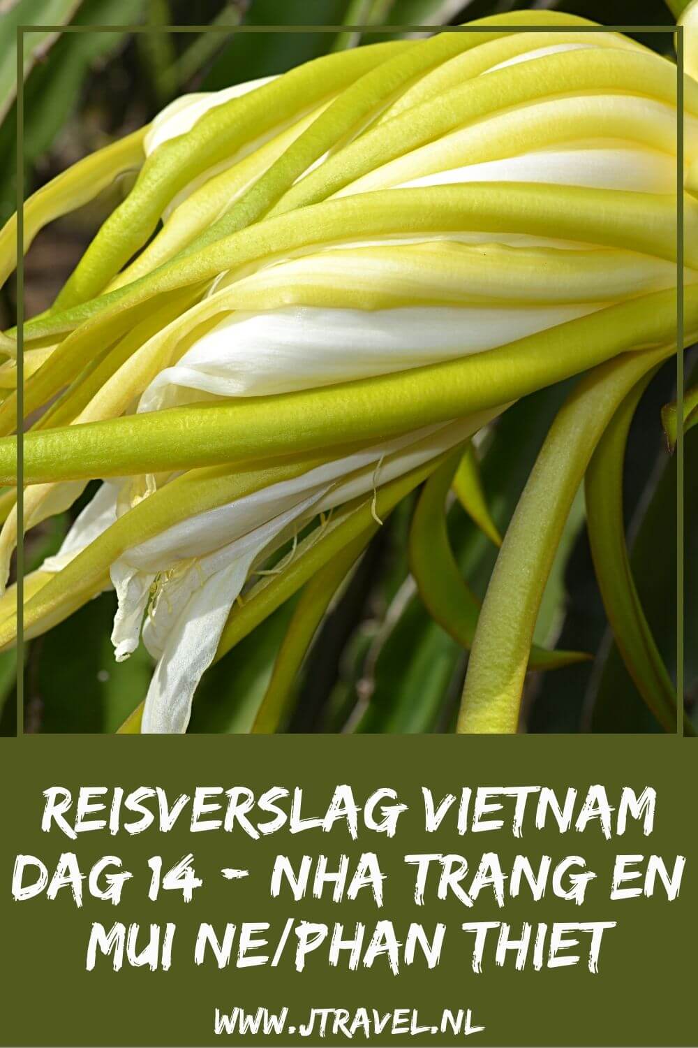 Op dag 14 van mijn 21-daagse groepsrondreis door Vietnam bezocht ik de Long Son Pagode en de Po Nagar Torens in Nha Trang en reisde ik door via Mui Ne naar Phan Thiet. Alles over de veertiende dag van mijn reis door Vietnam lees je hier. Lees je mee? #vietnam #nhatrang #longsonpagode #ponagartorens #muine #phanthiet #reisverslag #jtravel #jtravelblog Op dag 14 van mijn 21-daagse groepsrondreis door Vietnam bezocht ik de Long Son Pagode en de Po Nagar Torens in Nha Trang en reisde ik door via Mui Ne naar Phan Thiet. Alles over de veertiende dag van mijn reis door Vietnam lees je hier. Lees je mee? #vietnam #nhatrang #longsonpagode #ponagartorens #muine #phanthiet #reisverslag #jtravel #jtravelblog