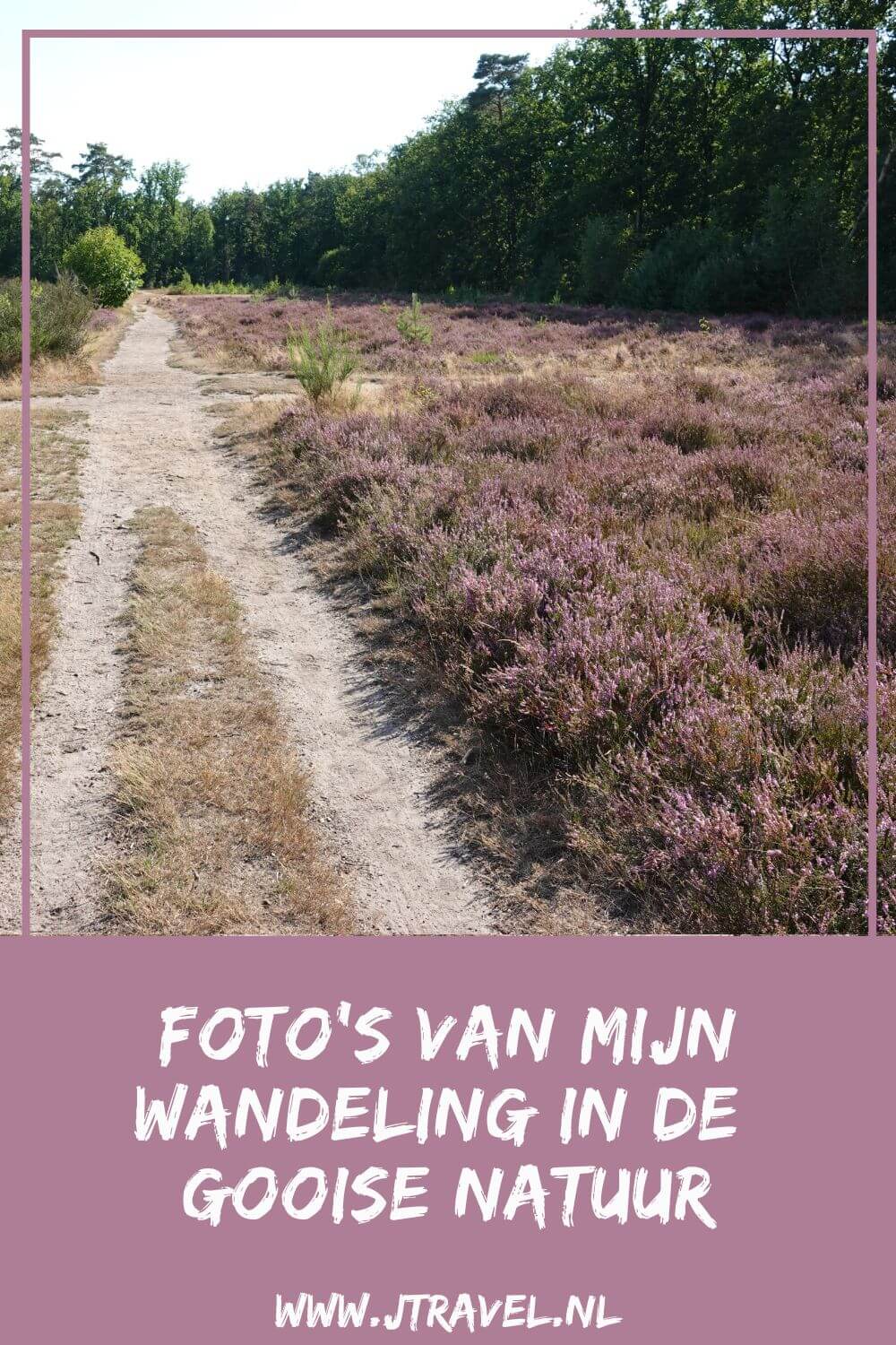 Ik maakte een wandeling in de Gooise natuur over de Bussumerheide en langs buitenplaatsen in 's-Graveland. Een wandeling over de heidevelden die op dat moment in bloei staan en door de bossen langs een paar buitenplaatsen. Mijn foto's van deze wandeling in de Gooise natuur zie je in dit artikel. #bussum #bussumerheide #buitenplaatsen #jtravelblog #jtravel #fotos Ik maakte een wandeling in de Gooise natuur over de Bussumerheide en langs buitenplaatsen in 's-Graveland. Een wandeling over de heidevelden die op dat moment in bloei staan en door de bossen langs een paar buitenplaatsen. Mijn foto's van deze wandeling in de Gooise natuur zie je in dit artikel. #bussum #bussumerheide #buitenplaatsen #jtravelblog #jtravel #fotos