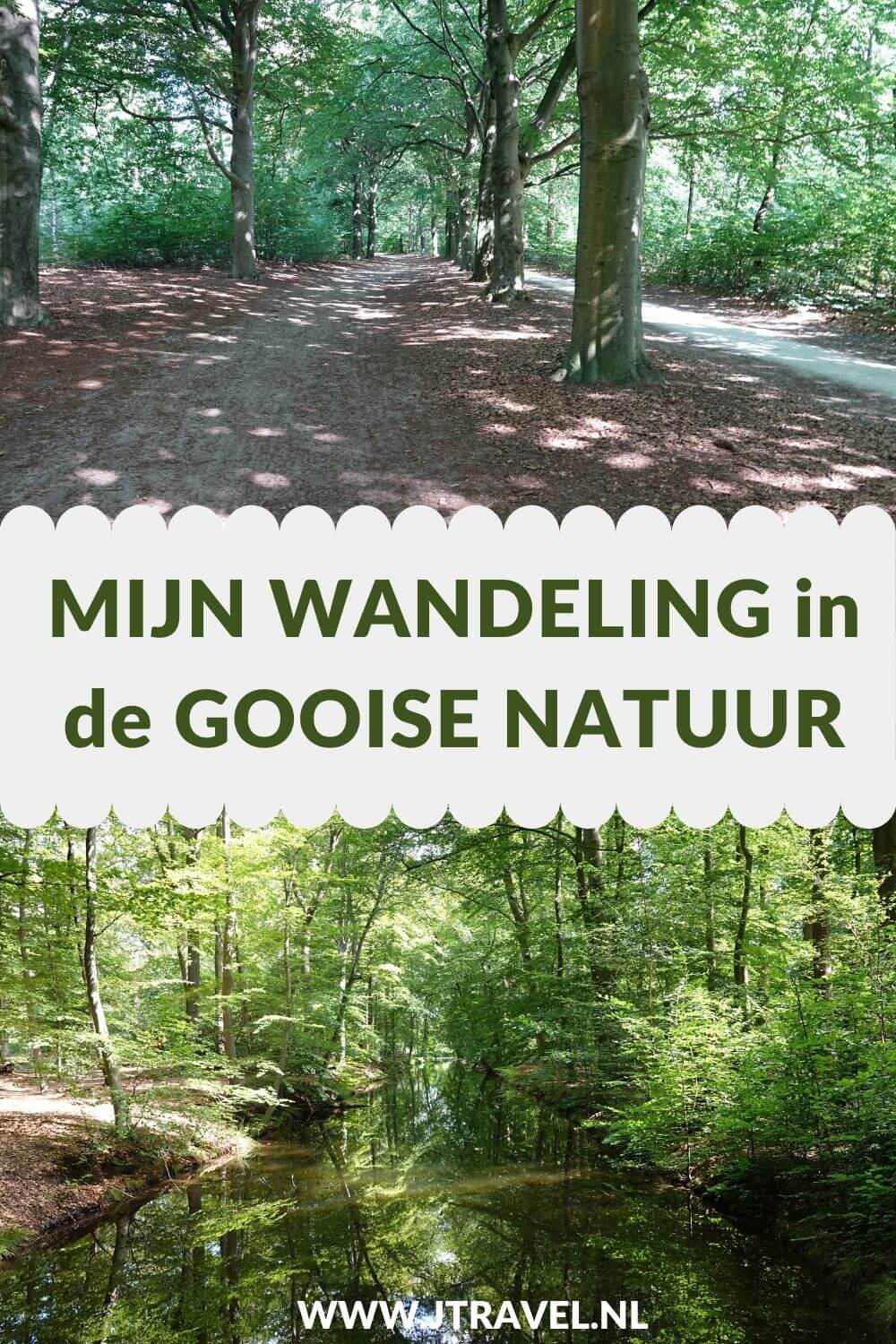 Ik maakte een wandeling in de Gooise natuur over de Bussumerheide en langs buitenplaatsen in 's-Graveland. Een wandeling over de heidevelden die op dat moment in bloei staan en door de bossen langs een paar buitenplaatsen. Wandel je mee met deze wandeling in de Gooise natuur. #bussum #bussumerheide #buitenplaatsen #jtravelblog #jtravel