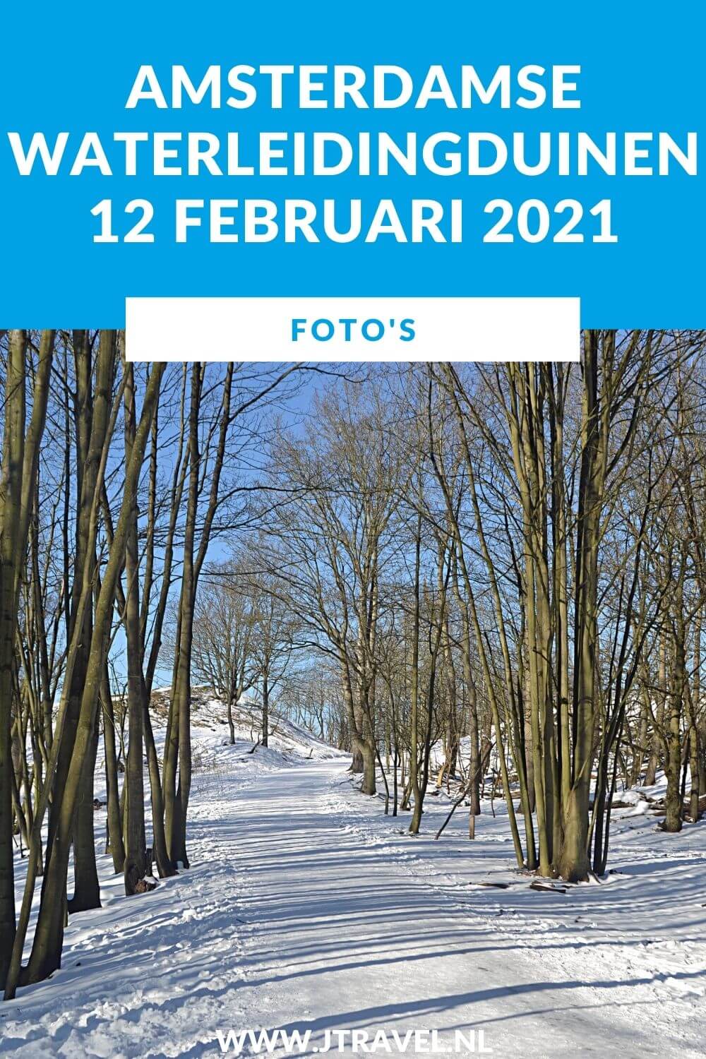 Ik maakte een wandeling in de sneeuw in de Amsterdamse Waterleidingduinen. Dit keer zag ik mooie sneeuwlandschappen, een ijsvogel, wilde zwanen en damherten. Mijn foto's zie je hier. Kijk je mee? #awd #damhert #sneeuw #ijsvogel #wildezwaan #wandelen #hiken #natuur #jtravel #jtravelblog #fotos Ik maakte een wandeling in de sneeuw in de Amsterdamse Waterleidingduinen. Dit keer zag ik mooie sneeuwlandschappen, een ijsvogel, wilde zwanen en damherten. Mijn foto's zie je hier. Kijk je mee? #awd #damhert #sneeuw #ijsvogel #wildezwaan #wandelen #hiken #natuur #jtravel #jtravelblog #fotos