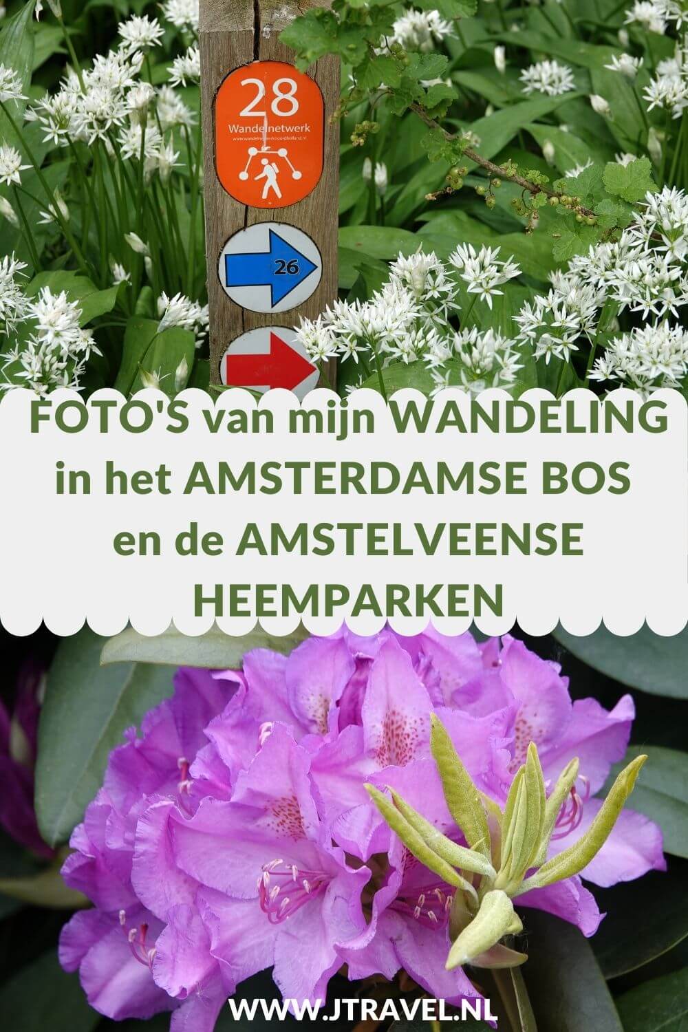 Ik maakte een wandeling in het Bloesempark, het Amsterdamse Bos en de heemparken Jac. P. Thijssepark, De Braak en het Broersepark in Amstelveen. Een mooie wandeling door een aantal mooie parken. Mijn foto's zie je in dit artikel. Kijk je mee? #amsterdamsebos #heemparken #amstelveen #wandelnetwerknoordholland #wandelen #fotos #jtravelblog #jtravel Ik maakte een wandeling in het Bloesempark, het Amsterdamse Bos en de heemparken Jac. P. Thijssepark, De Braak en het Broersepark in Amstelveen. Een mooie wandeling door een aantal mooie parken. Mijn foto's zie je in dit artikel. Kijk je mee? #amsterdamsebos #heemparken #amstelveen #wandelnetwerknoordholland #wandelen #fotos #jtravelblog #jtravel