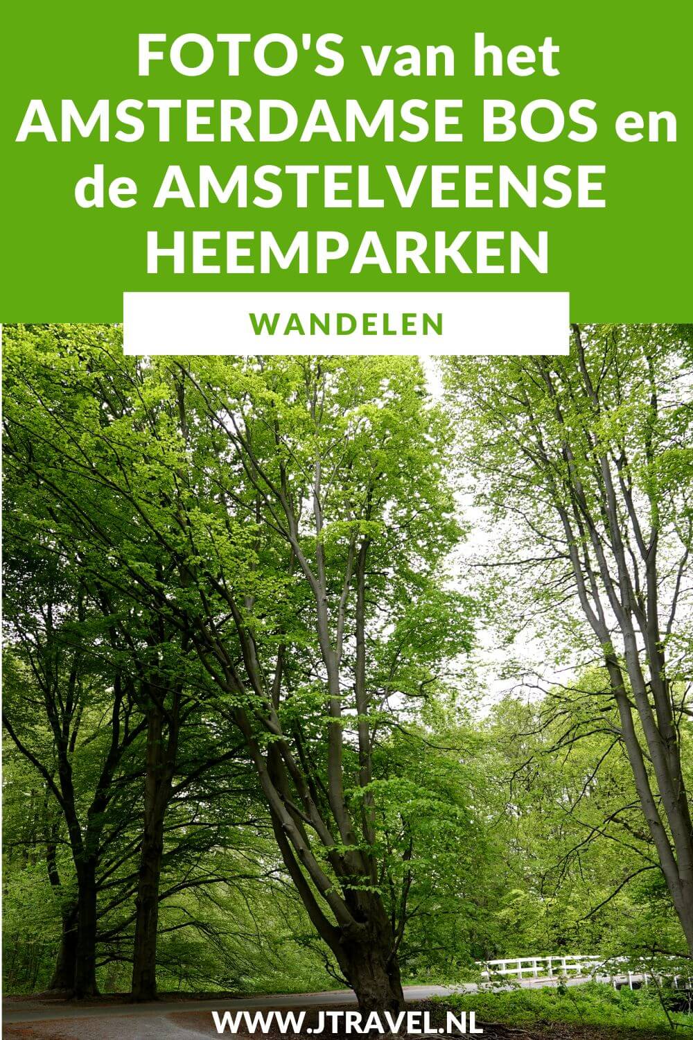 Ik maakte een wandeling in het Bloesempark, het Amsterdamse Bos en de heemparken Jac. P. Thijssepark, De Braak en het Broersepark in Amstelveen. Een mooie wandeling door een aantal mooie parken. Mijn foto's zie je in dit artikel. Kijk je mee? #amsterdamsebos #heemparken #amstelveen #wandelnetwerknoordholland #wandelen #fotos #jtravelblog #jtravel Ik maakte een wandeling in het Bloesempark, het Amsterdamse Bos en de heemparken Jac. P. Thijssepark, De Braak en het Broersepark in Amstelveen. Een mooie wandeling door een aantal mooie parken. Mijn foto's zie je in dit artikel. Kijk je mee? #amsterdamsebos #heemparken #amstelveen #wandelnetwerknoordholland #wandelen #fotos #jtravelblog #jtravel