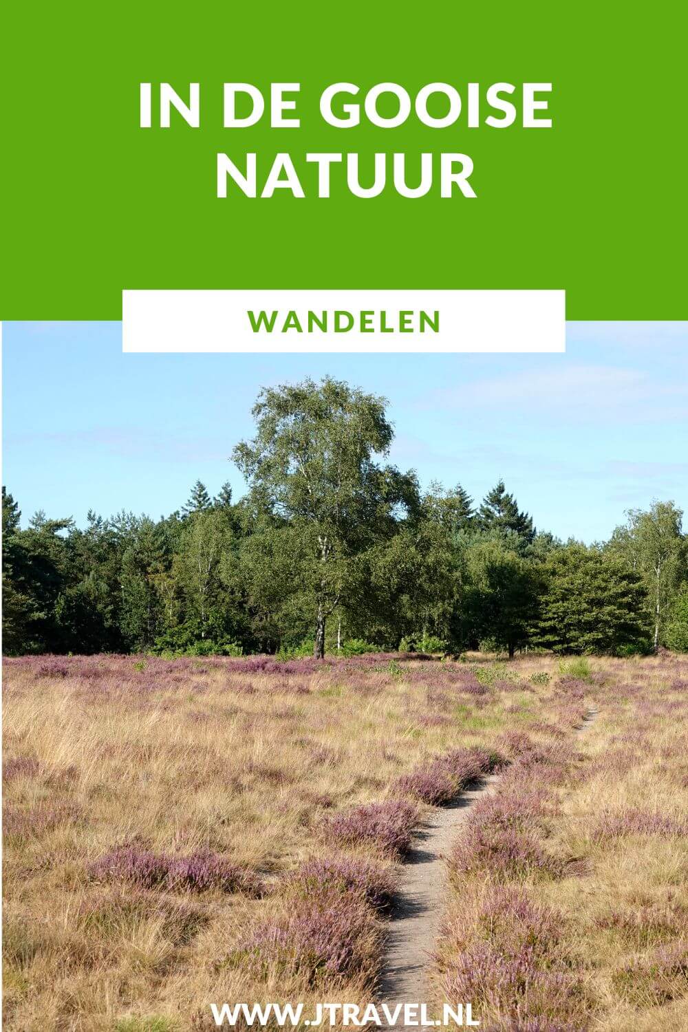 Ik maakte een wandeling in de Gooise natuur over de Bussumerheide en langs buitenplaatsen in 's-Graveland. Een wandeling over de heidevelden die op dat moment in bloei staan en door de bossen langs een paar buitenplaatsen. Wandel je mee met deze wandeling in de Gooise natuur. #bussum #bussumerheide #buitenplaatsen #jtravelblog #jtravel
