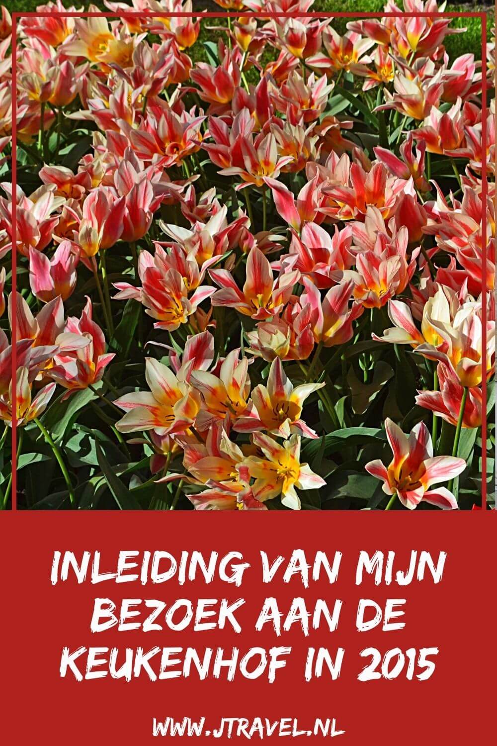 In 2015 bezocht ik voor het eerst sinds lange tijd de Keukenhof in Lisse. Vanaf hier zie je mijn belevenissen, foto's en informatie over de Keukenhof. Lees en kijk je mee? #keukenhof #bloemententoonstelling #lisse #jtravel #jtravelblog In 2015 bezocht ik voor het eerst sinds lange tijd de Keukenhof in Lisse. Vanaf hier zie je mijn belevenissen, foto's en informatie over de Keukenhof. Lees en kijk je mee? #keukenhof #bloemententoonstelling #lisse #jtravel #jtravelblog