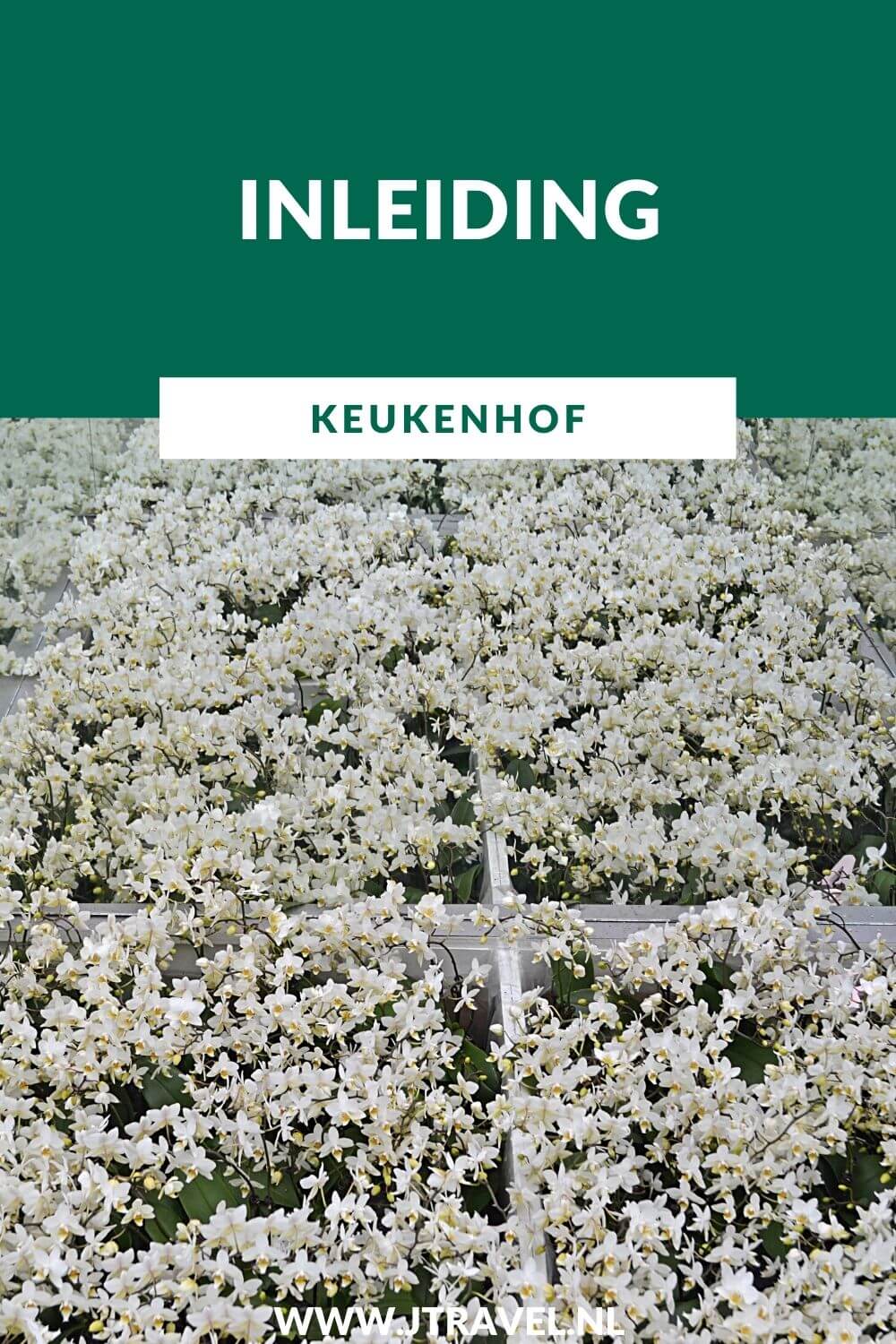 In 2015 bezocht ik voor het eerst sinds lange tijd de Keukenhof in Lisse. Vanaf hier zie je mijn belevenissen, foto's en informatie over de Keukenhof. Lees en kijk je mee? #keukenhof #bloemententoonstelling #lisse #jtravel #jtravelblog In 2015 bezocht ik voor het eerst sinds lange tijd de Keukenhof in Lisse. Vanaf hier zie je mijn belevenissen, foto's en informatie over de Keukenhof. Lees en kijk je mee? #keukenhof #bloemententoonstelling #lisse #jtravel #jtravelblog