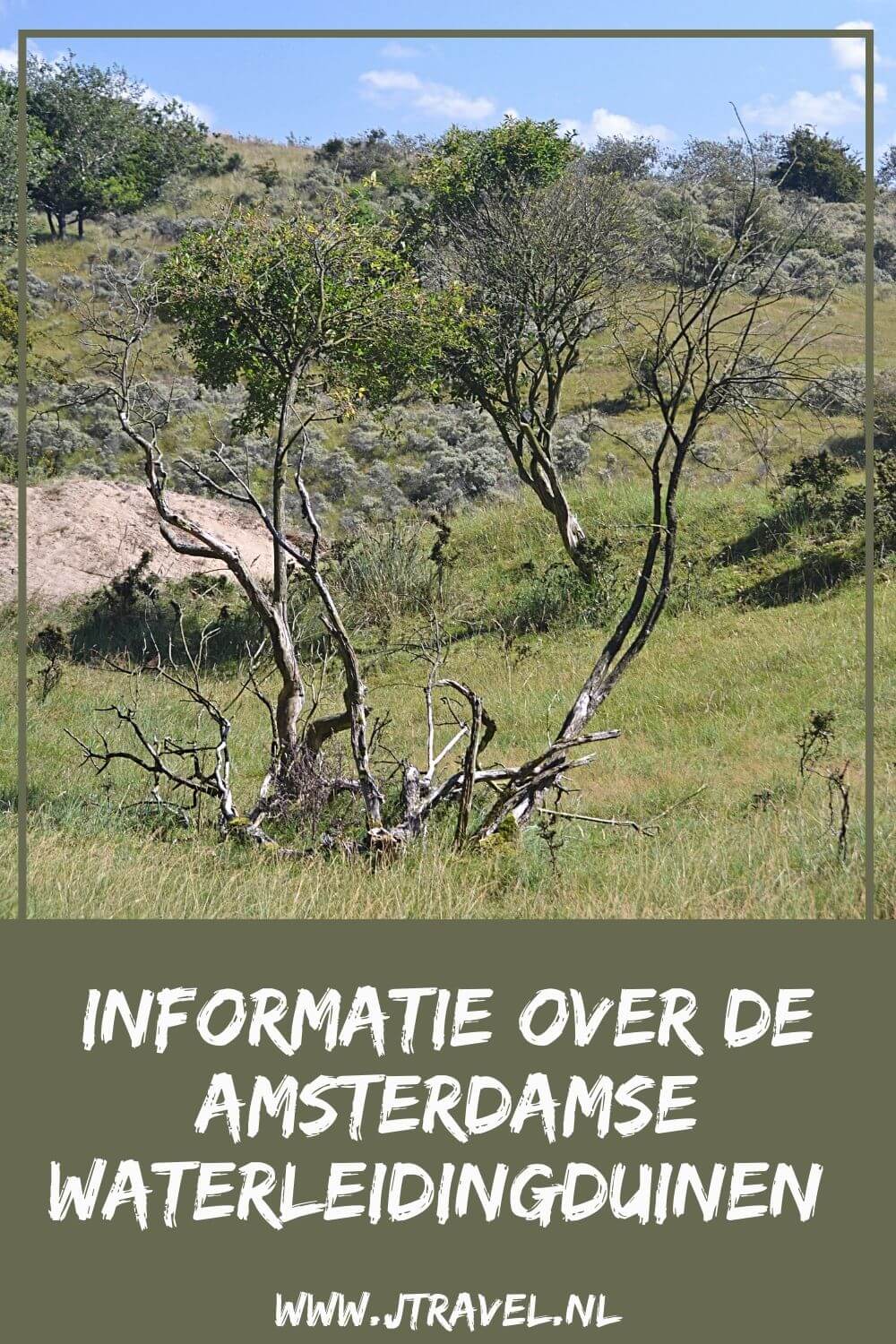 Hier lees je informatie over de Amsterdamse Waterleidingduinen, zoals de dieren, de geschiedenis, het bezoekerscentrum, de wandelroutes en de entree. Meer lezen doe je hier. Lees je mee? #amsterdamsewaterleidingduinen #awd #wandelen #hiken #informatie #jtravel #jtravelblog