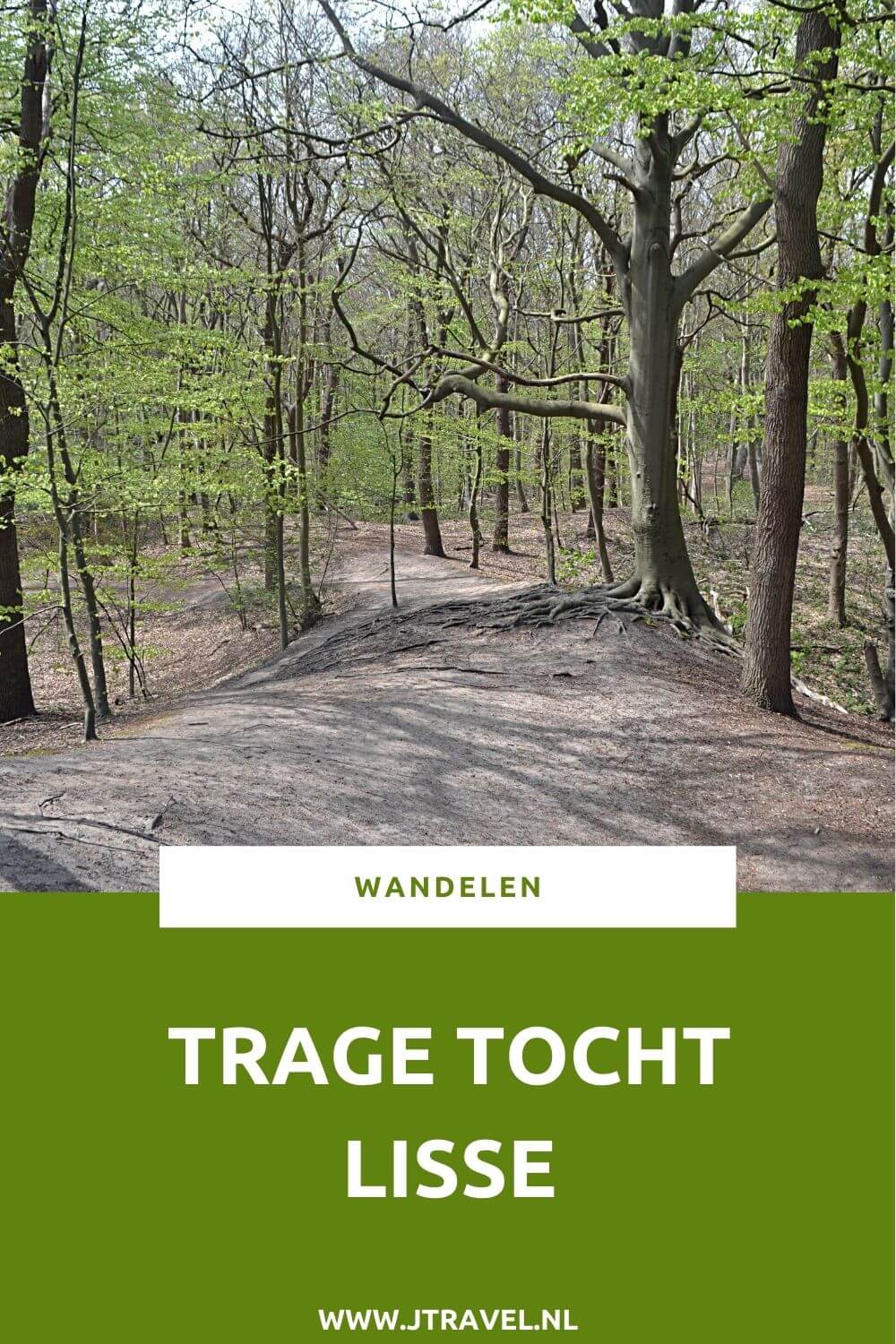 Ik liep de Trage Tocht Lisse via Landgoed Keukenhof, over het terrein van Kasteel Keukenhof, door het Keukenhofbosch, over onverharde paden naar Landgoed Wassergeest, langs de Lageveensemolen en door weilanden met soms afgesloten hekken. Alles over deze Trage Tocht lees je hier. #lisse #landgoedkeukenhof #kasteelkeukenhof #landgoedwassergeest #lageveensemolen #tragetocht #wandelen #jtravel #jtravelblog Ik liep de Trage Tocht Lisse via Landgoed Keukenhof, over het terrein van Kasteel Keukenhof, door het Keukenhofbosch, over onverharde paden naar Landgoed Wassergeest, langs de Lageveensemolen en door weilanden met soms afgesloten hekken. Alles over deze Trage Tocht lees je hier. #lisse #landgoedkeukenhof #kasteelkeukenhof #landgoedwassergeest #lageveensemolen #tragetocht #wandelen #jtravel #jtravelblog
