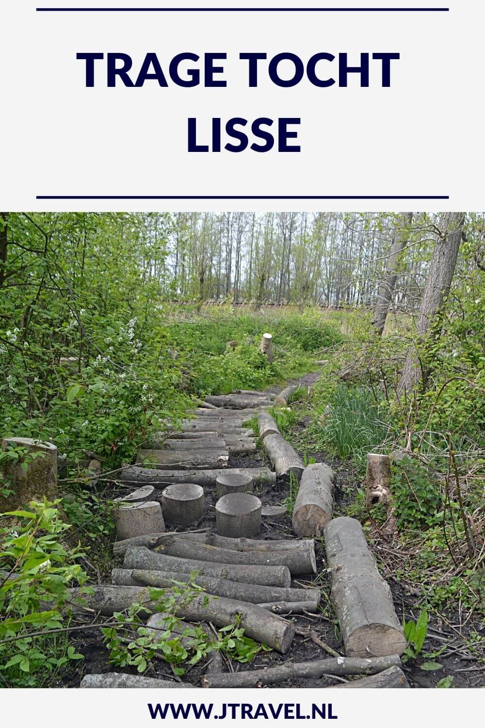 Ik liep de Trage Tocht Lisse via Landgoed Keukenhof, over het terrein van Kasteel Keukenhof, door het Keukenhofbosch, over onverharde paden naar Landgoed Wassergeest, langs de Lageveensemolen en door weilanden met soms afgesloten hekken. Alles over deze Trage Tocht lees je hier. #lisse #landgoedkeukenhof #kasteelkeukenhof #landgoedwassergeest #lageveensemolen #tragetocht #wandelen #jtravel #jtravelblog Ik liep de Trage Tocht Lisse via Landgoed Keukenhof, over het terrein van Kasteel Keukenhof, door het Keukenhofbosch, over onverharde paden naar Landgoed Wassergeest, langs de Lageveensemolen en door weilanden met soms afgesloten hekken. Alles over deze Trage Tocht lees je hier. #lisse #landgoedkeukenhof #kasteelkeukenhof #landgoedwassergeest #lageveensemolen #tragetocht #wandelen #jtravel #jtravelblog