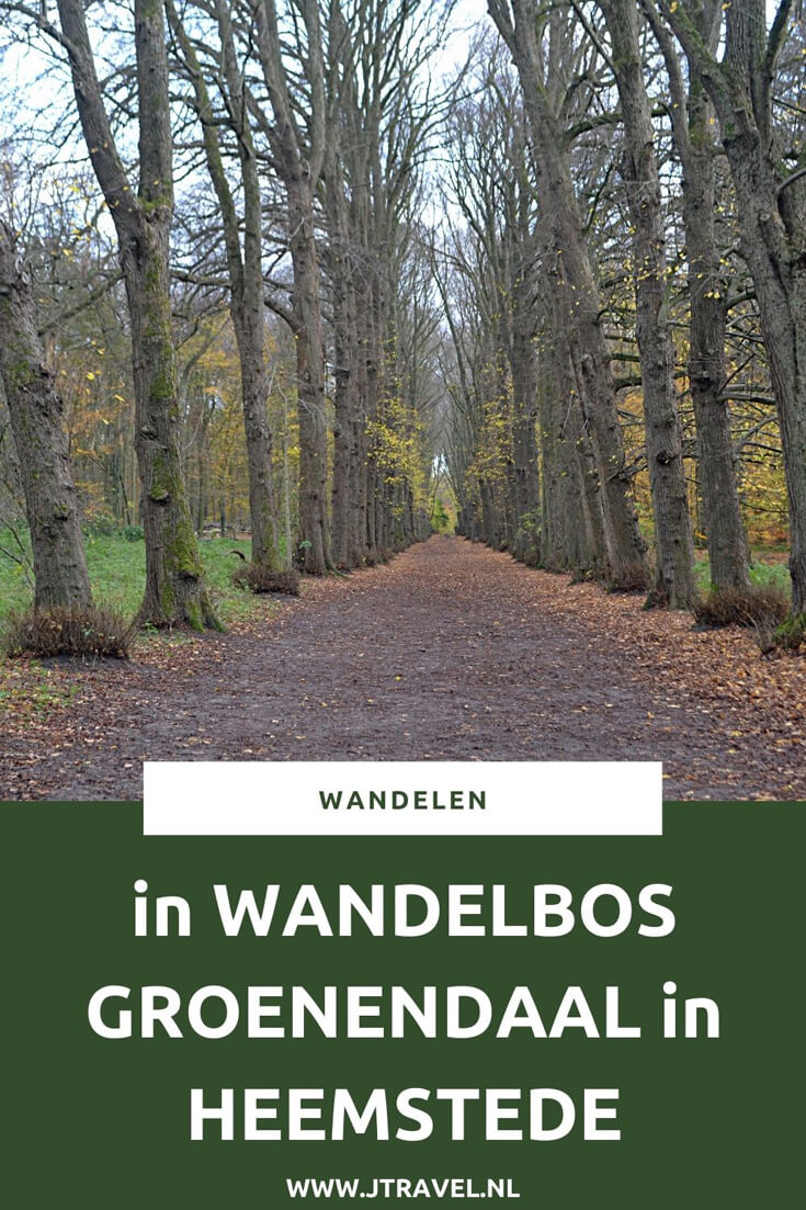 Ik maakte een herfstwandeling in Wandelbos Groenendaal in Heemstede. Meer informatie over Wandelbos Groenendaal en mijn wandelroute lees je in dit artikel. Loop je mee? #wandelen #wandelbosgroenendaal #heemstede #jtravel #jtravelblog