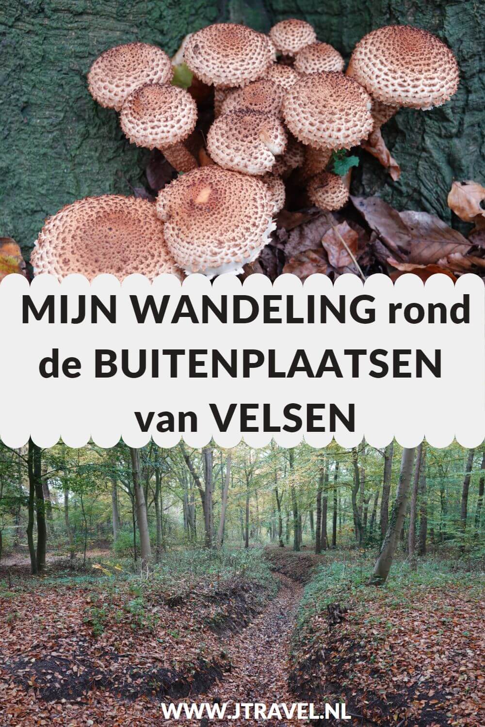Ik maakte een wandeling langs de buitenplaats van Velsen van Wandelnetwerk Noord-Holland. Het is een wandelroute over Buitenplaats Beeckestijn en Buitenplaats Velserbeek. Een mooie wandeling door de bossen van de buitenplaatsen. Wandel je mee? #buitenplaatsroute #buitenplaatsbeeckestijn #buitenplaatsvelserbeek #velsen #wandelnetwerknoordholland #jtravelblog #jtravel