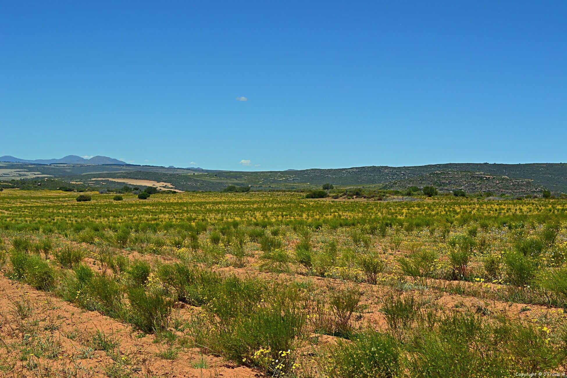 Elandsberg Eco Reserve in Zuid-Afrika