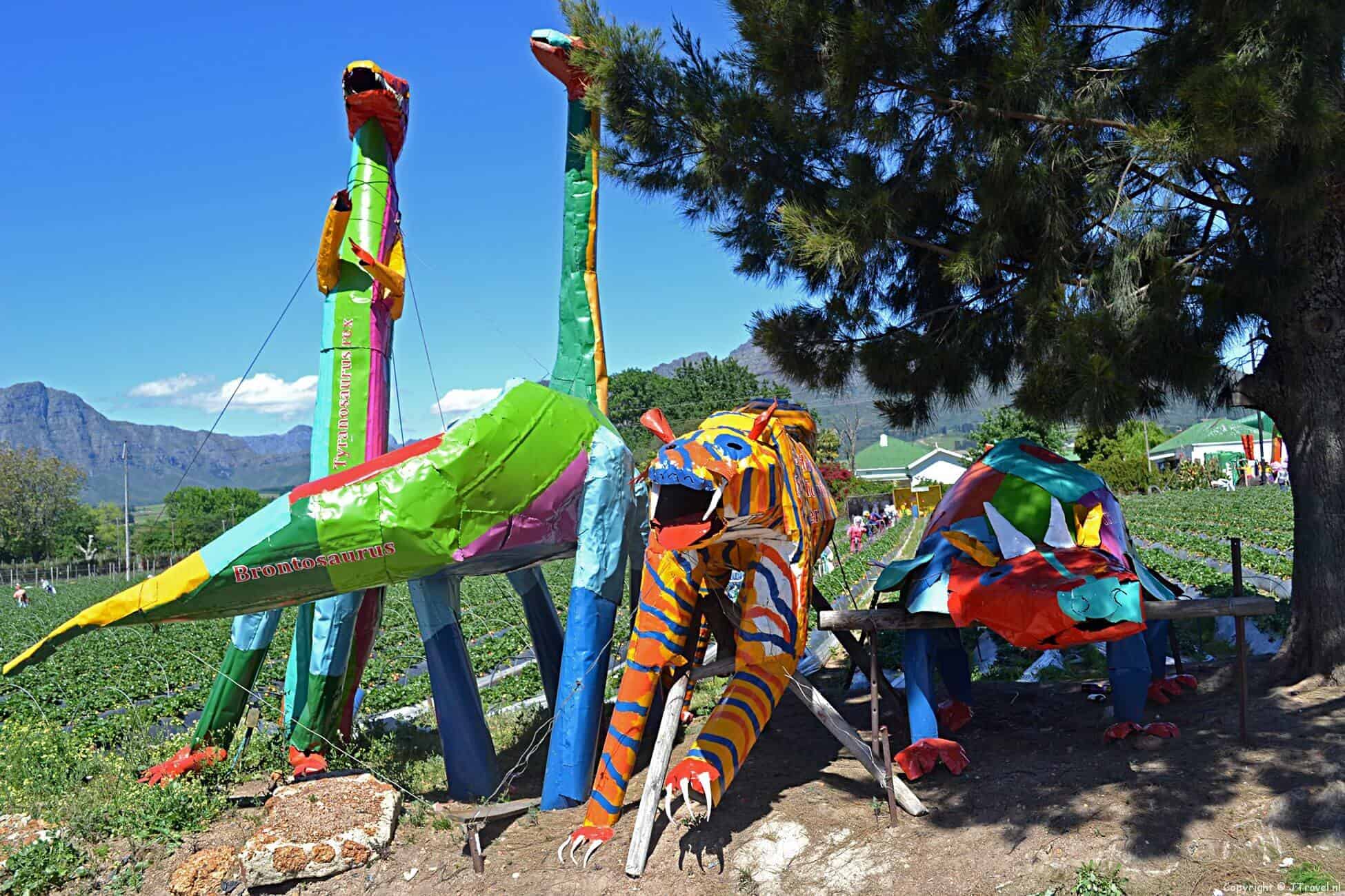 Mooiberge in Zuid-Afrika