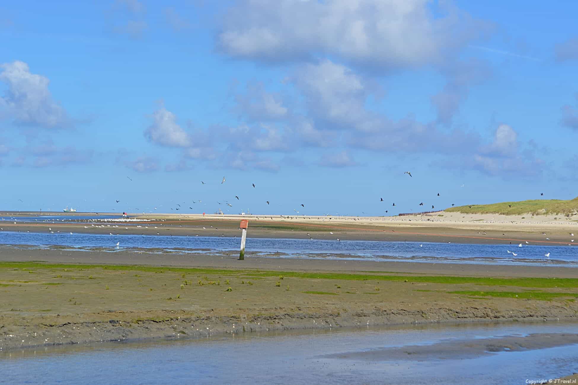 Reisverslag dag 3 Texel 2016