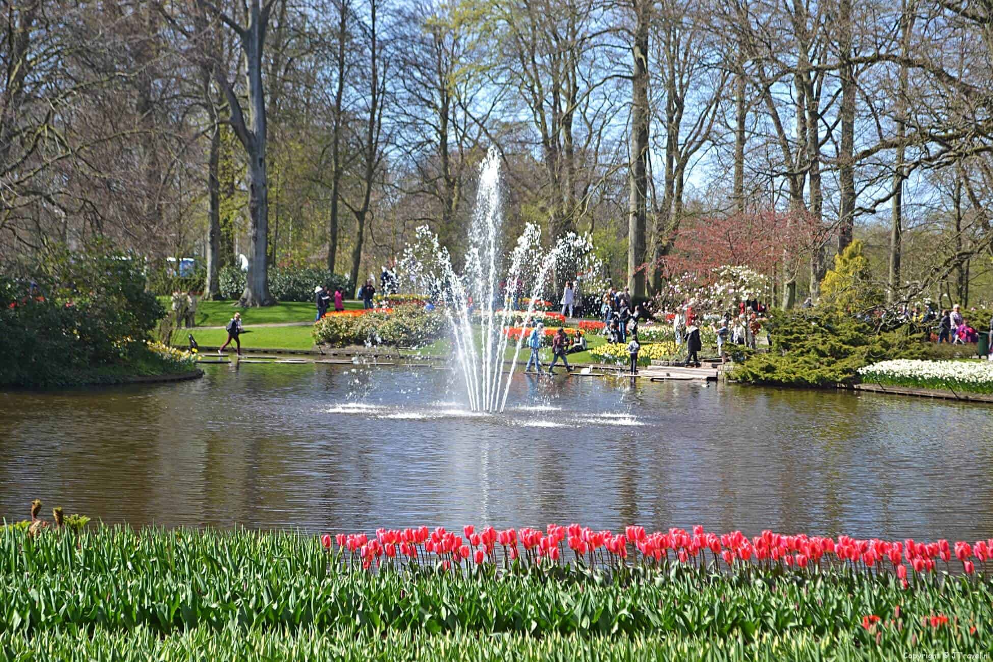 Foto's van de Keukenhof 2015