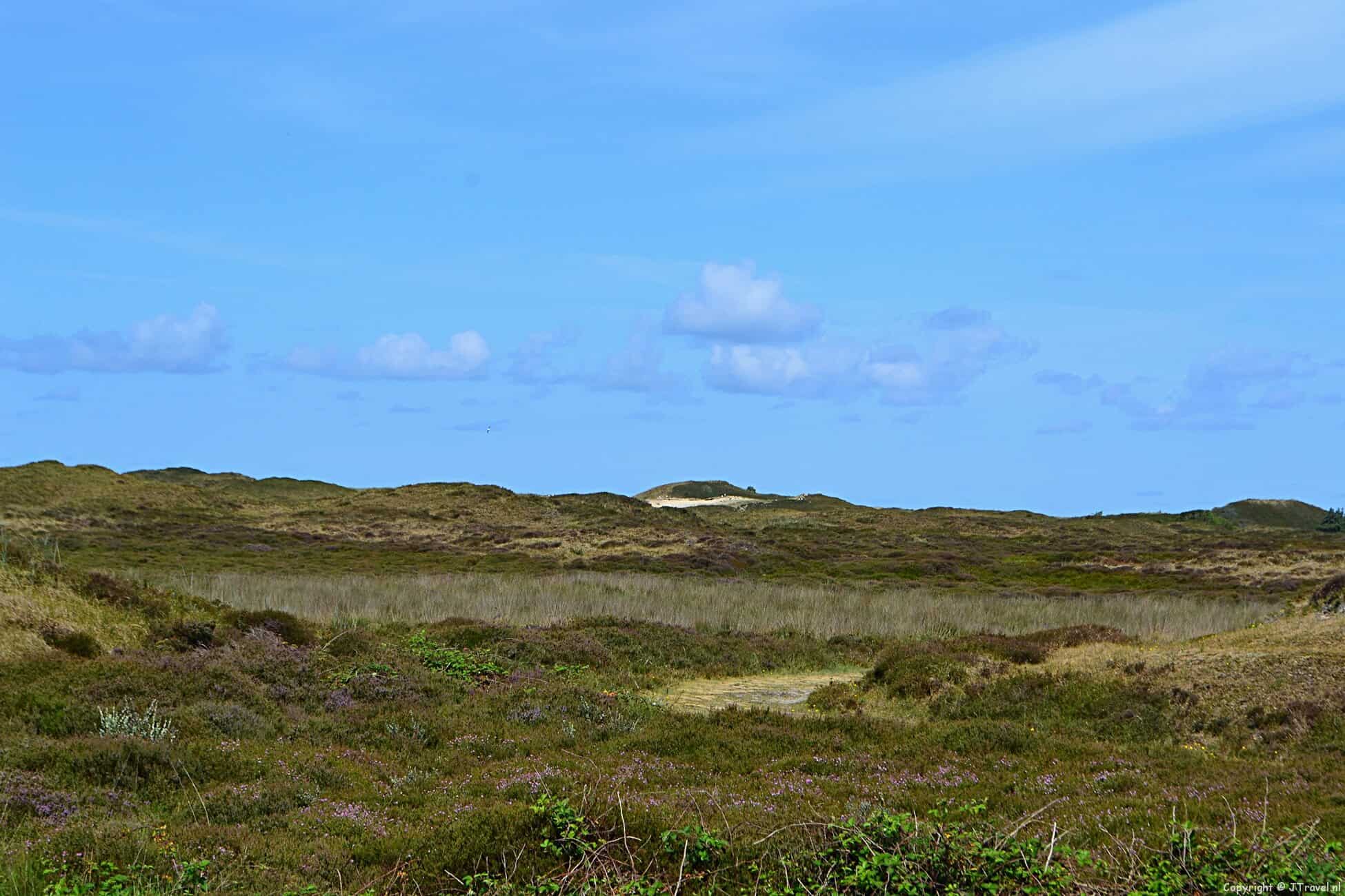 Natuurgebied Bollekamer Texel 2017