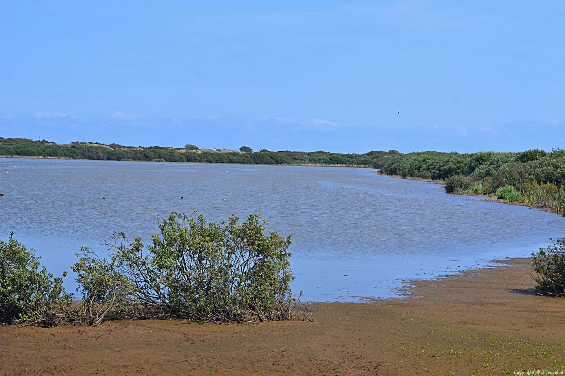 Natuurgebied De Hors & De Geul Texel 2017