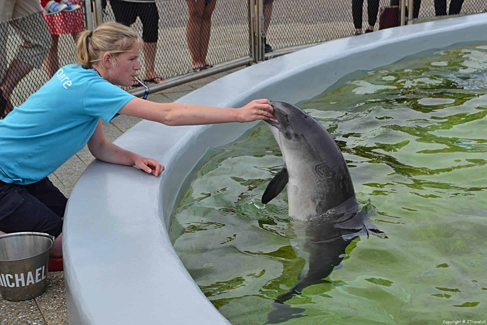 Reisverslag dag 2 Texel 2017