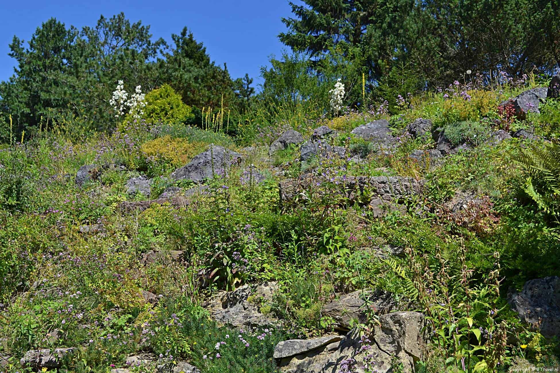 Tuinen van Hortus Botanicus in Haren