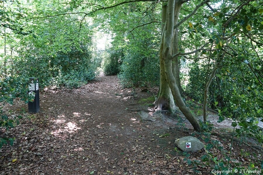Bospad in Echten tijdens de 24e etappe van het Westerborkpad / Copyright JTravel.nl