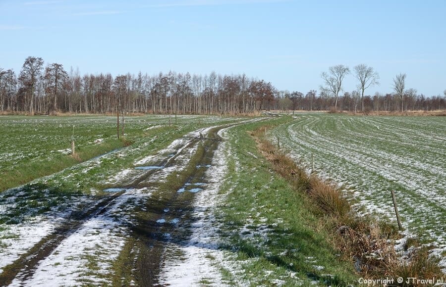 Een pad tijdens de 21e etappe van het Westerborkpad / Copyright JTravel.nl
