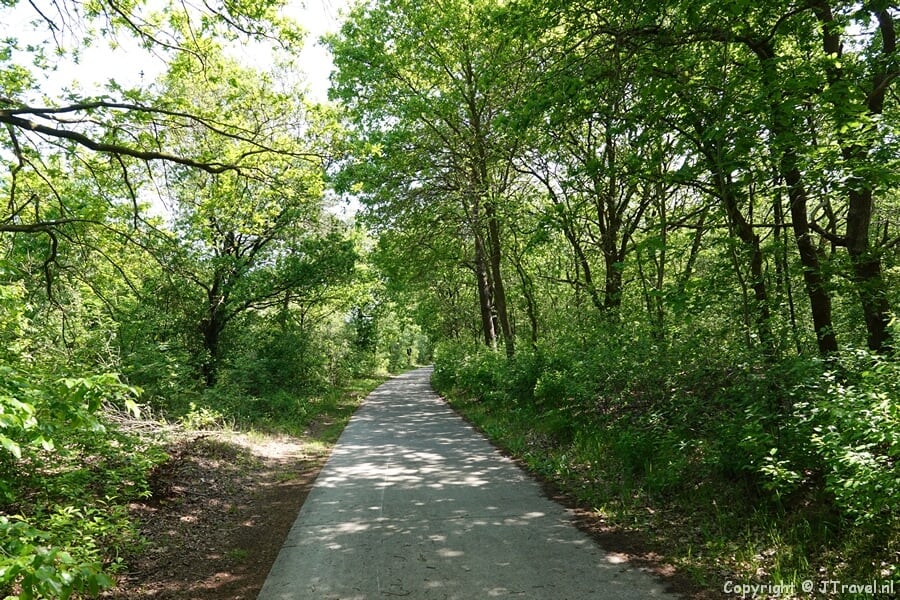 Bospad naar Echten tijdens de 24e etappe van het Westerborkpad / Copyright JTravel.nl