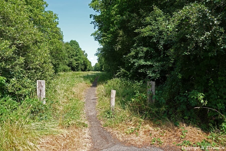 Onverhard pad tijdens de 26e etappe van het Westerborkpad / Copyright JTravel.nl