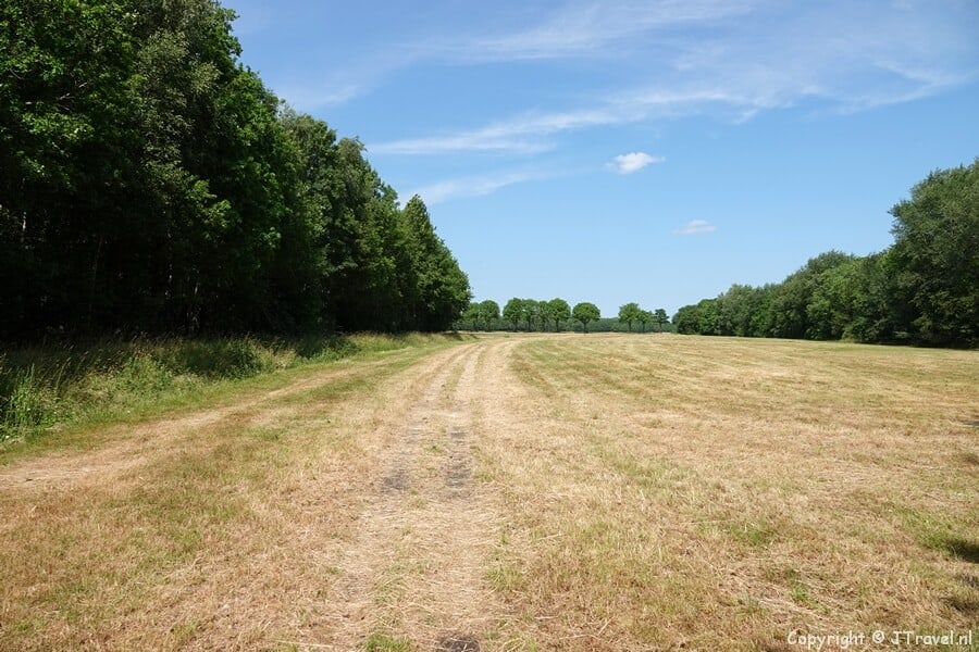 Onverhard pad tijdens de 26e etappe van het Westerborkpad / Copyright JTravel.nl