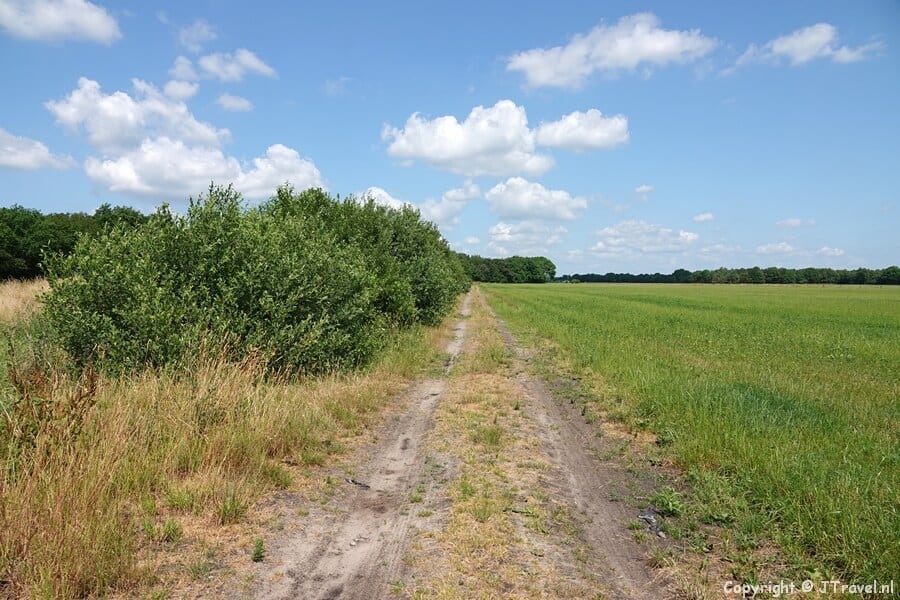 Onverhard pad tijdens de 25e etappe van het Westerborkpad / Copyright JTravel.nl