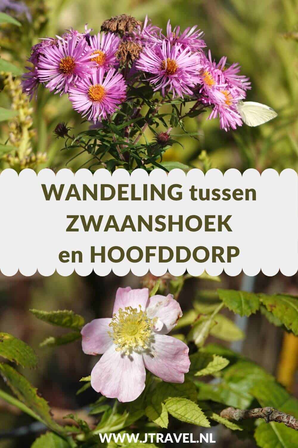 Ik maakte een wandeling tussen Zwaanshoek en Hoofddorp van Wandelnetwerk Noord-Holland. De wandeling heeft een lengte van 9,38 kilometer. De wandelroute gaat door de nieuwe parken en buurten van de wijk Floriande in Hoofddorp en de ruigtes in PARK21. Wandelt u mee? #zwaanshoek #hoofddorp #haarlemmermeer #wandelnetwerknoordholland #wandelen #jtravelblog #jtravel