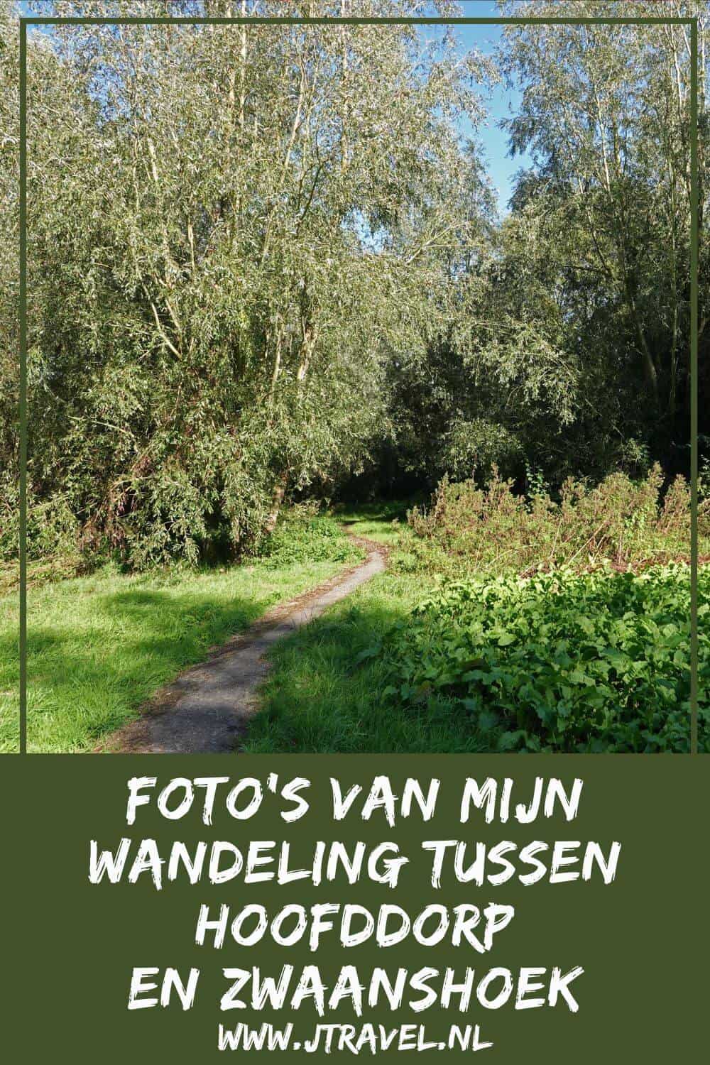 Ik maakte een wandeling tussen Zwaanshoek en Hoofddorp van Wandelnetwerk Noord-Holland. De wandeling heeft een lengte van 9,38 kilometer. De wandelroute gaat door de nieuwe parken en buurten van de wijk Floriande in Hoofddorp en de ruigtes in PARK21. Mijn foto's ziet u in dit artikel. #zwaanshoek #hoofddorp #haarlemmermeer #wandelnetwerknoordholland #wandelen #jtravelblog #jtravel #fotos