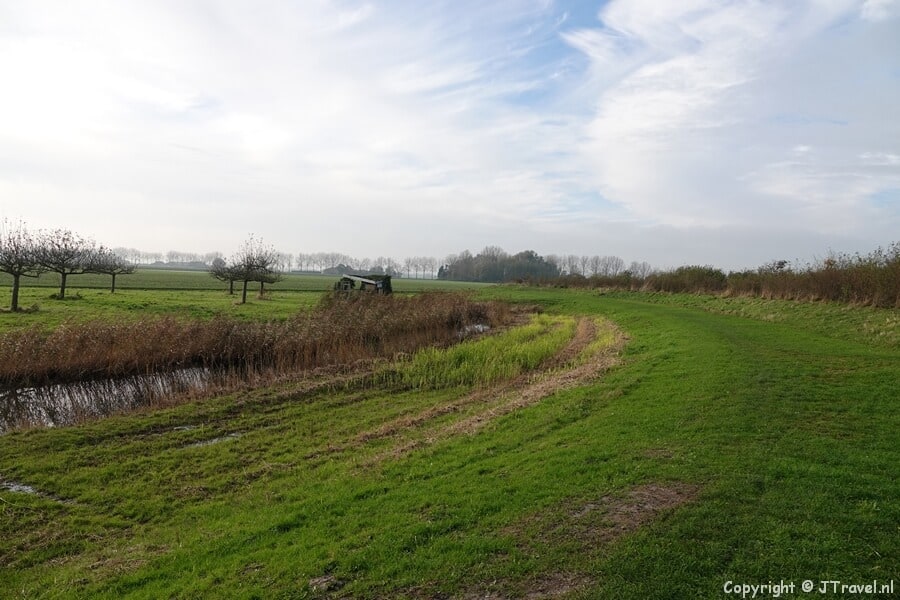 Een graspad in PARK21 tijdens mijn wandeling rond de Toolenburgerplas en door PARK21 in Hoofddorp