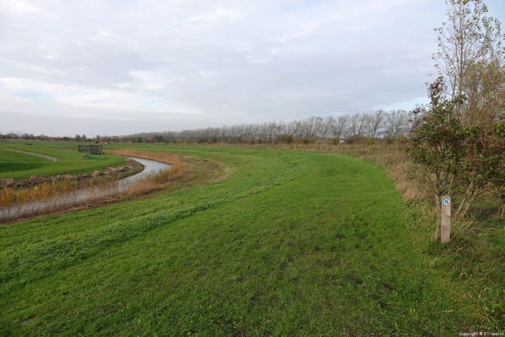 Foto's van mijn wandeling rond de Toolenburgerplas en door PARK21 in Hoofddorp