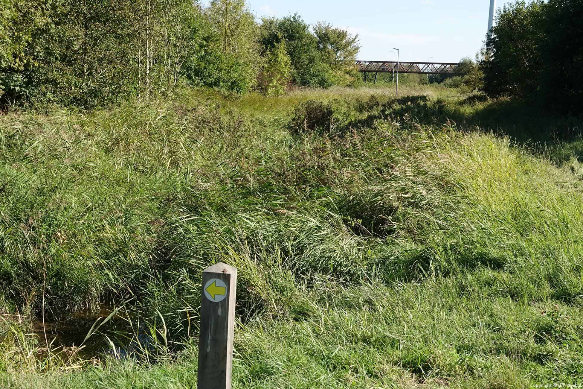 Foto's van mijn wandeling tussen Zwaanshoek en Hoofddorp / Copyright JTravel.nl