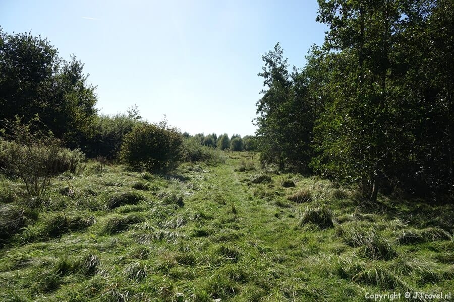 Graspad tijdens mijn wandeling tussen Zwaanshoek en Hoofddorp