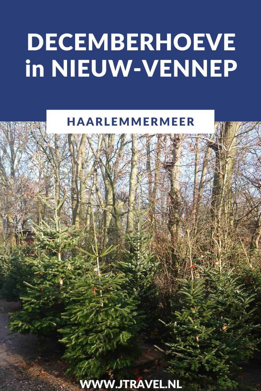 Bij de Decemberhoeve in Nieuw-Vennep mag u uw eigen kerstboom zagen. In de landbouwschuur is een uitgebreid assortiment kerstverlichting, kerstballen, kerstdorponderdelen in Dickenssfeer, kerststukken, kaarsen en accessoires te koop. Meer leest u in dit artikel. #decemberhoeve #nieuwvennep #haarlemmermeer #hotspot #jtravelblog #jtravel
