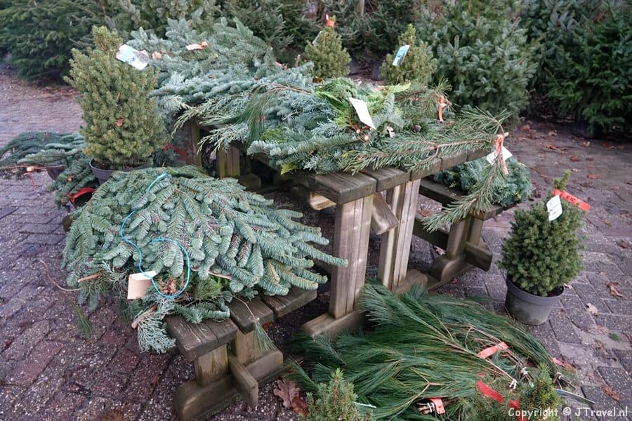 Kerstbomen te koop bij de Decemberhoeve in Nieuw-Vennep