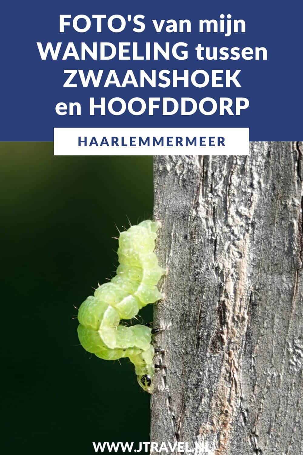 Ik maakte een wandeling tussen Zwaanshoek en Hoofddorp van Wandelnetwerk Noord-Holland. De wandeling heeft een lengte van 9,38 kilometer. De wandelroute gaat door de nieuwe parken en buurten van de wijk Floriande in Hoofddorp en de ruigtes in PARK21. Mijn foto's ziet u in dit artikel. #zwaanshoek #hoofddorp #haarlemmermeer #wandelnetwerknoordholland #wandelen #jtravelblog #jtravel #fotos