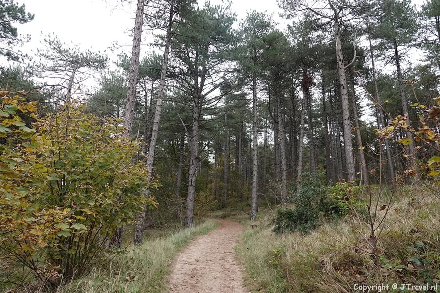 De rode wandelroute vanaf ingang Middenduin in Nationaal Park Zuid-Kennemerland