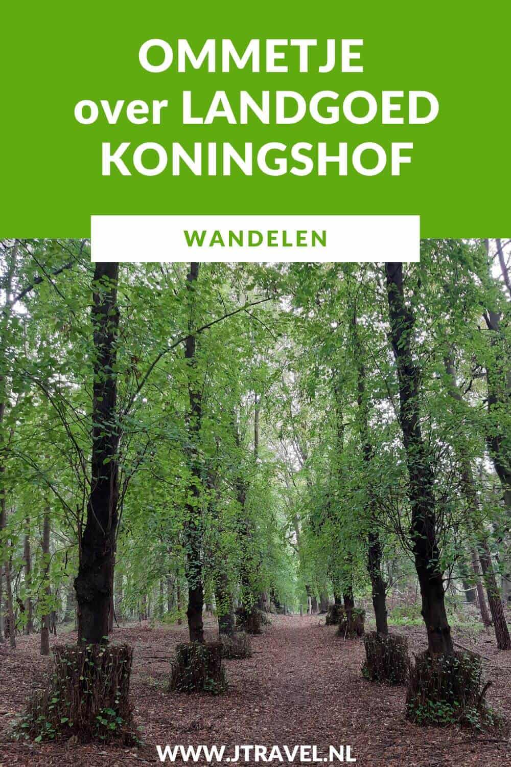 Ik maakte een ommetje over Landgoed Koningshof in Nationaal Park Zuid-Kennemerland vanaf de ingang Koningshof in Overveen. Wandel je mee? #nationaalparkzuidkennemerland #zuidkennemerland #overveen #wandelen #wandelnetwerknoordholland #jtravelblog #jtravel