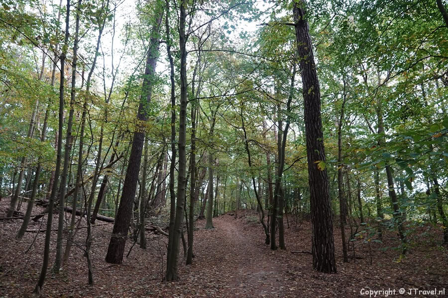 De rode wandelroute vanaf ingang Middenduin in Nationaal Park Zuid-Kennemerland
