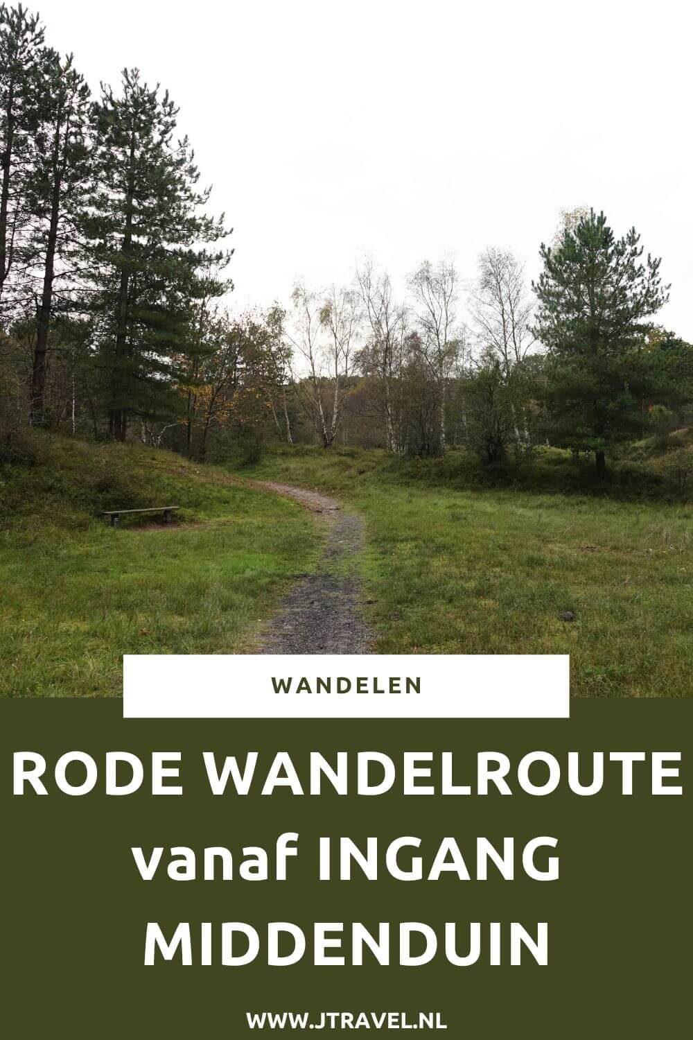 Ik liep de rode wandelroute vanaf ingang Middenduin .in Overveen in Nationaal Park Zuid-Kennemerland. Wandel je mee? #nationaalparkzuidkennemerland #middenduin #zuidkennemerland #overveen #wandelen #wandelnetwerknoordholland