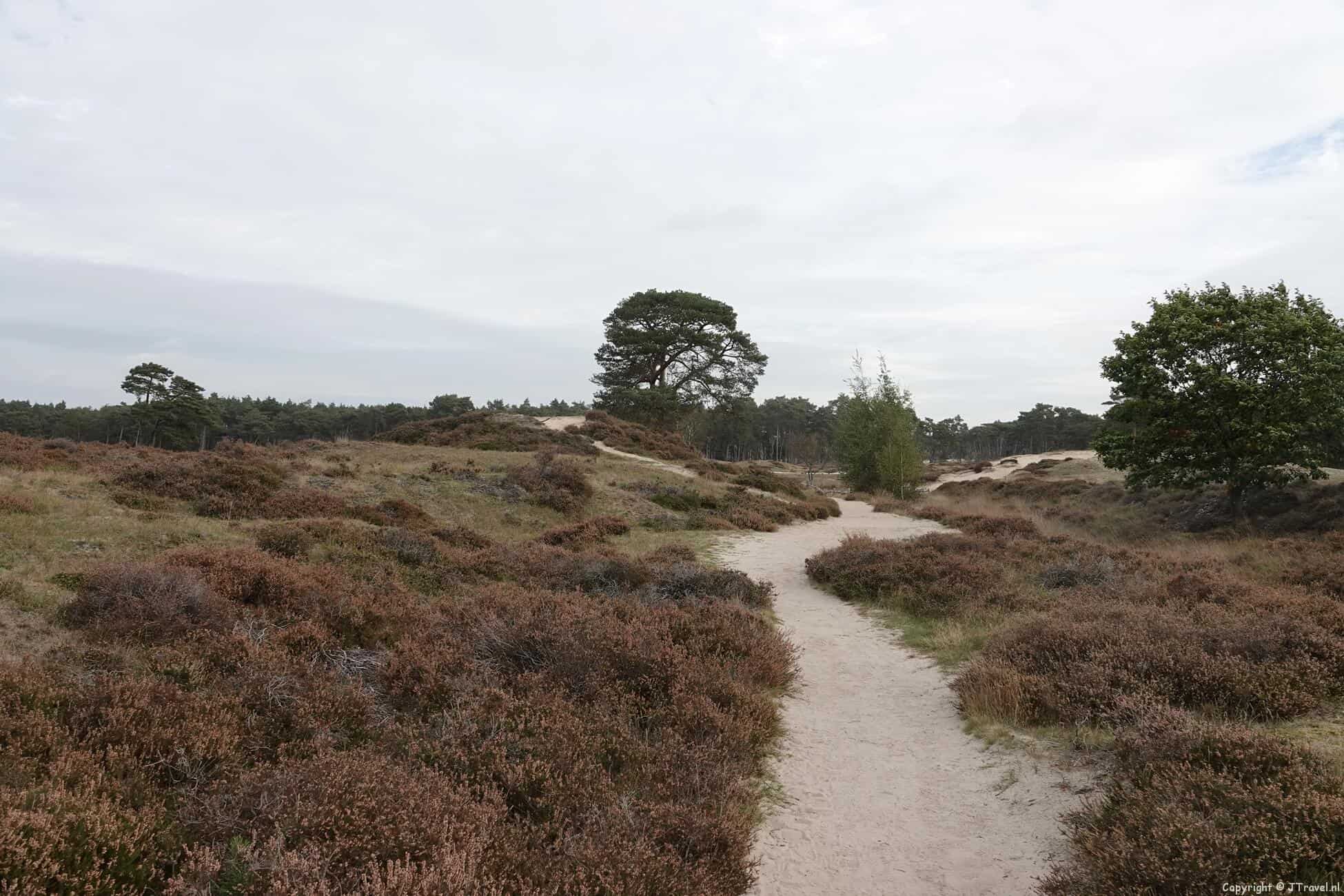 Landgoed Heidestein-Bornia tijdens mijn wandeling op de Utrechtse Heuvelrug bij Driebergen