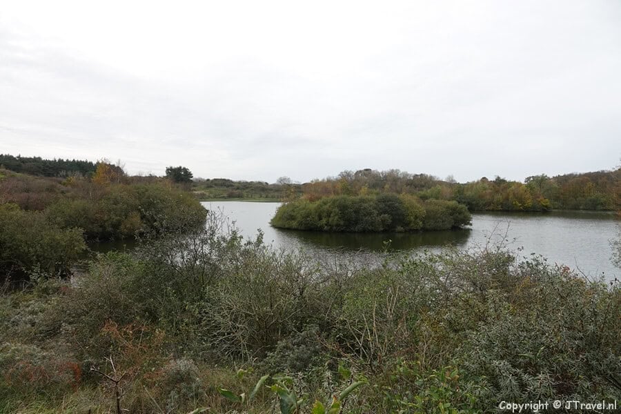 Kraansvlak tijdens de rode wandelroute vanaf ingang Middenduin in Nationaal Park Zuid-Kennemerland
