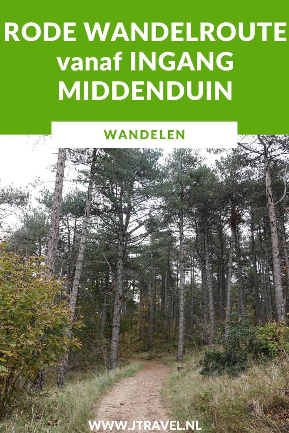 Ik liep de rode wandelroute vanaf ingang Middenduin .in Overveen in Nationaal Park Zuid-Kennemerland. Wandel je mee? #nationaalparkzuidkennemerland #middenduin #zuidkennemerland #overveen #wandelen #wandelnetwerknoordholland